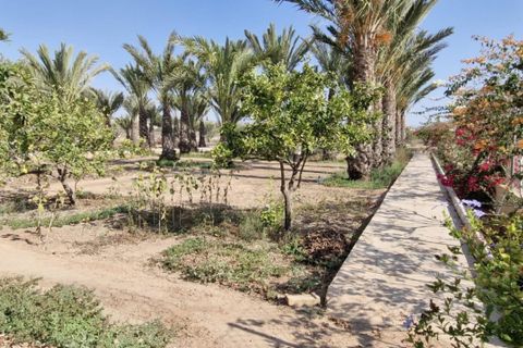 Landejendom i Elche, Alicante, Elche - € 395.000 | Ref: col-38710 - foto 5