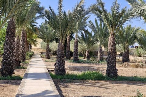 Landejendom i Elche, Alicante, Elche - € 395.000 | Ref: col-38710 - foto 6