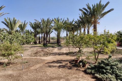 Landejendom i Elche, Alicante, Elche - € 395.000 | Ref: col-38710 - foto 7