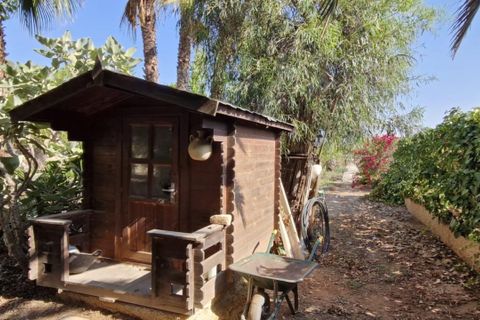 Landejendom i Elche, Alicante, Elche - € 395.000 | Ref: col-38710 - foto 8