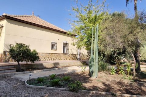 Landejendom i Elche, Alicante, Elche - € 395.000 | Ref: col-38710 - foto 10
