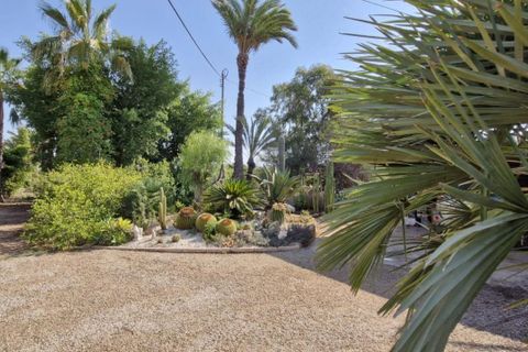 Landejendom i Elche, Alicante, Elche - € 395.000 | Ref: col-38710 - foto 11