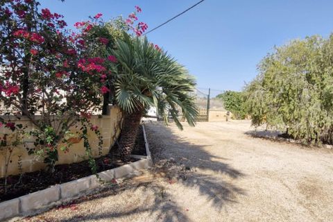 Landejendom i Elche, Alicante, Elche - € 395.000 | Ref: col-38710 - foto 13