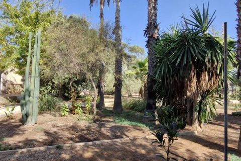 Landejendom i Elche, Alicante, Elche - € 395.000 | Ref: col-38710 - foto 14