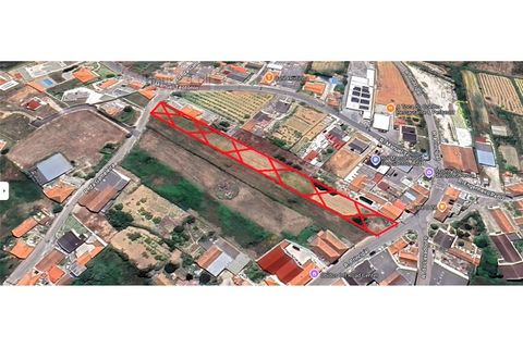 Helårsgrund i Obidos, Leiria, Obidos - € 75.000 | Ref: TER_1206 - foto 5