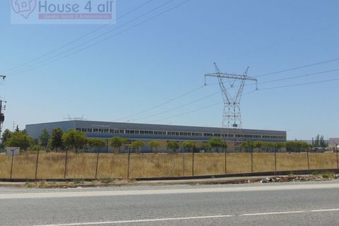 L'establiment comercial a Azambuja, Lisbon, Azambuja - € 2.000/mes | Ref: SÒL_1064 - foto 3