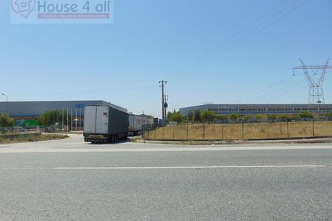 L'establiment comercial a Azambuja, Lisbon, Azambuja - € 2.000/mes | Ref: SÒL_1064 - foto 2