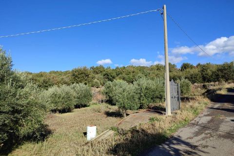 Terra a Ragalna, Catania, Ragalna - € 25.000 | Ref: 586 - foto 2