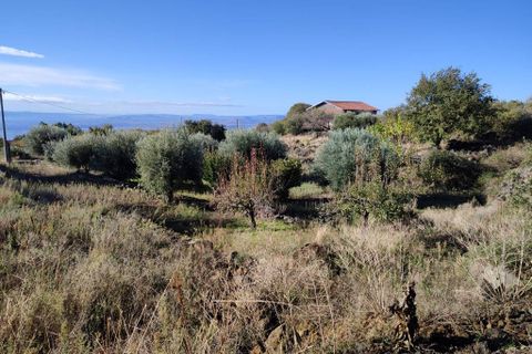 Terra a Ragalna, Catania, Ragalna - € 25.000 | Ref: 586 - foto 3