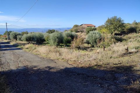 Terra a Ragalna, Catania, Ragalna - € 25.000 | Ref: 586 - foto 4
