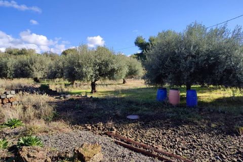 Terra a Ragalna, Catania, Ragalna - € 25.000 | Ref: 586 - foto 5