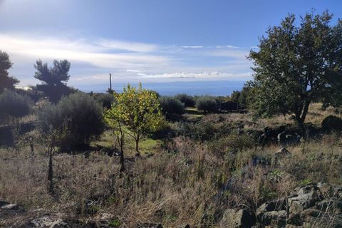 Terra a Ragalna, Catania, Ragalna - € 25.000 | Ref: 586 - foto 6