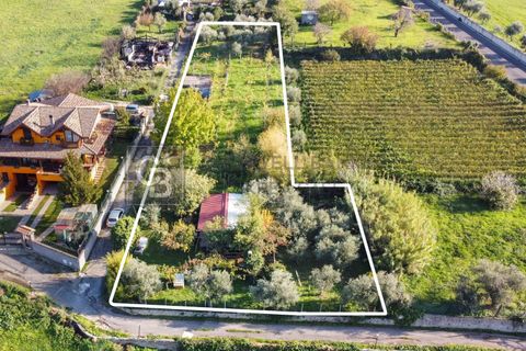 Helårsgrund i Grottaferrata, Rome, Grottaferrata - € 80.000 | Ref: CBI143-2056-C4001 - foto 2