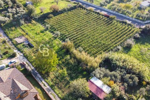 Helårsgrund i Grottaferrata, Rome, Grottaferrata - € 80.000 | Ref: CBI143-2056-C4001 - foto 3
