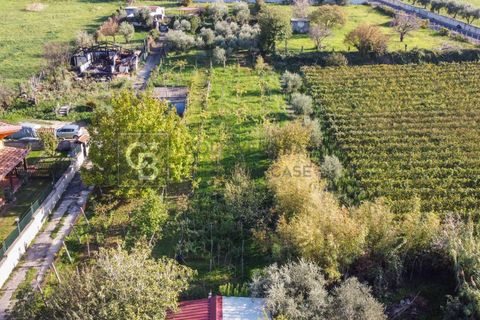 Helårsgrund i Grottaferrata, Rome, Grottaferrata - € 80.000 | Ref: CBI143-2056-C4001 - foto 4
