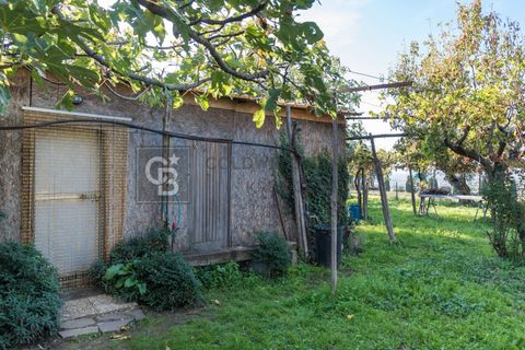 Helårsgrund i Grottaferrata, Rome, Grottaferrata - € 80.000 | Ref: CBI143-2056-C4001 - foto 7
