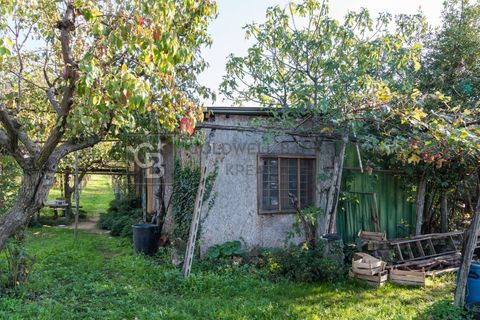 Helårsgrund i Grottaferrata, Rome, Grottaferrata - € 80.000 | Ref: CBI143-2056-C4001 - foto 8