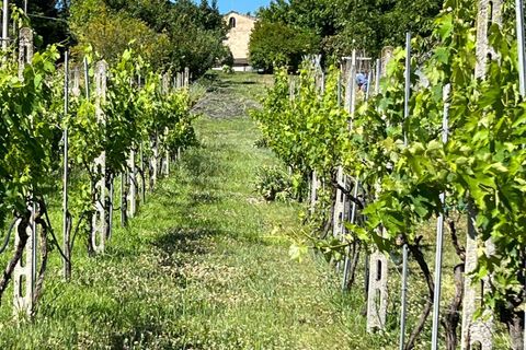 Villa a Petritoli, Fermo, Petritoli - € 125.000 | Ref: AO72 - foto 7
