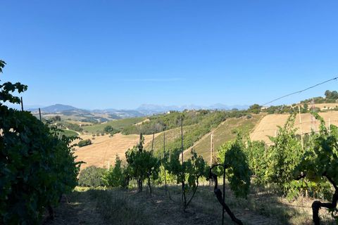 Villa a Petritoli, Fermo, Petritoli - € 75.000 | Ref: AO97 - foto 3