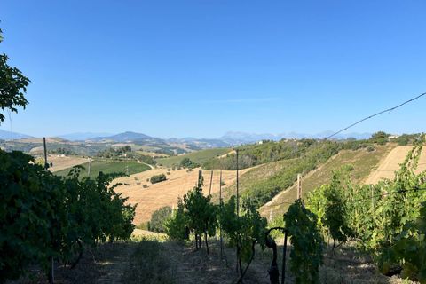 Villa a Petritoli, Fermo, Petritoli - € 75.000 | Ref: AO97 - foto 16
