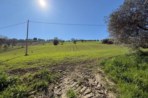 Villa i Fermo, Fermo, Fermo - € 105.000 | Ref: AP37 - foto 4