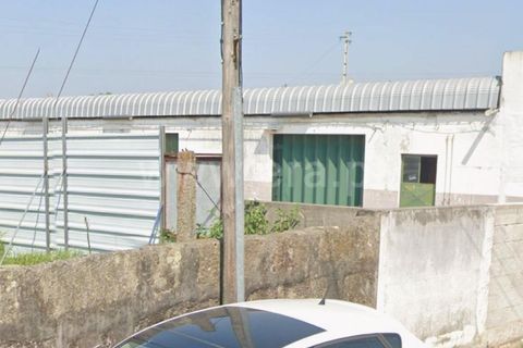 Landejendom i Maia, Porto, Maia - € 1.800.000 | Ref: 352250162 - foto 6