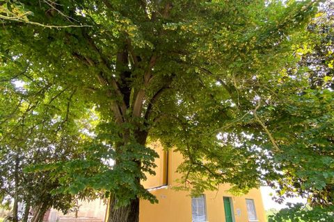 Villa i Ferrara, Ferrara, Ferrara - € 198.000 | Ref: Corlo Casa Indipendente - foto 23