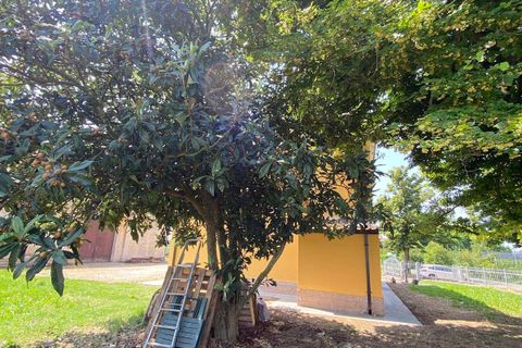 Villa i Ferrara, Ferrara, Ferrara - € 198.000 | Ref: Corlo Casa Indipendente - foto 25