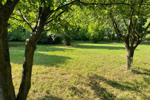 Landejendom i Copparo, Ferrara, Copparo - € 27.000 | Ref: Rustico con terreno - foto 13