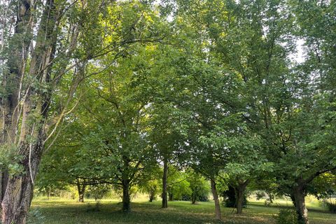 Landejendom i Copparo, Ferrara, Copparo - € 27.000 | Ref: Rustico con terreno - foto 18