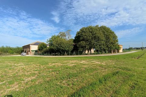 Villa a Argenta, Ferrara, Argenta - € 226.000 | Ref: Rustico con parco - foto 26