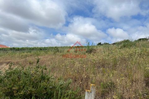 Helårsgrund i Torres Vedras, Lisbon, Torres Vedras - € 80.000 | Ref: M3462 TVD - foto 7
