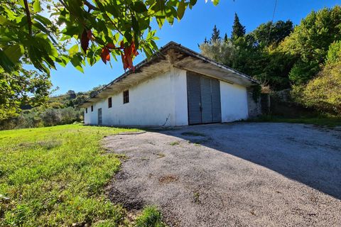 Terra a Torchiara, Salerno, Torchiara - € 125.000 | Ref: 12 - foto 2