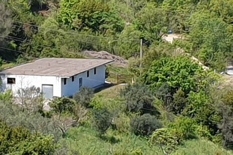 Terra a Torchiara, Salerno, Torchiara - € 125.000 | Ref: 12 - foto 3