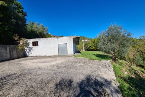 Terra a Torchiara, Salerno, Torchiara - € 125.000 | Ref: 12 - foto 5