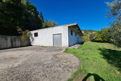Terra a Torchiara, Salerno, Torchiara - € 125.000 | Ref: 12 - foto 6