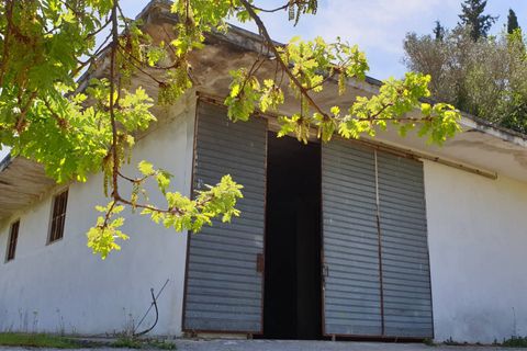 Terra a Torchiara, Salerno, Torchiara - € 125.000 | Ref: 12 - foto 9