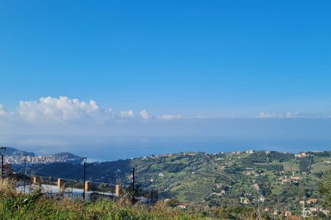 Terra a Ogliastro, Salerno, Ogliastro - € 80.000 | Ref: 48 - foto 2