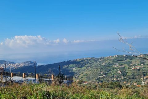 Terra a Ogliastro, Salerno, Ogliastro - € 80.000 | Ref: 48 - foto 3