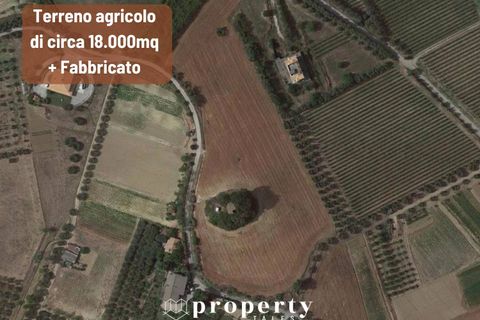 Landejendom i Monteprandone, Ascoli Piceno, Monteprandone - € 300.000 | Ref: 89 - foto 1