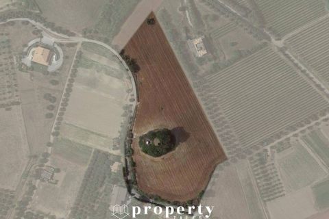 Landejendom i Monteprandone, Ascoli Piceno, Monteprandone - € 300.000 | Ref: 89 - foto 2