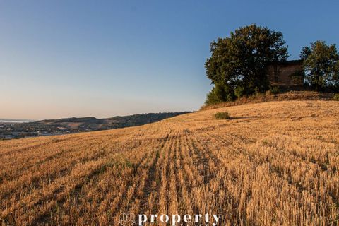 Landejendom i Monteprandone, Ascoli Piceno, Monteprandone - € 300.000 | Ref: 89 - foto 7