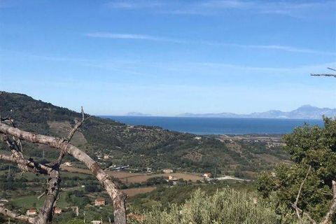 Terra a Ogliastro, Salerno, Ogliastro - € 70.000 | Ref: 49 - foto 3