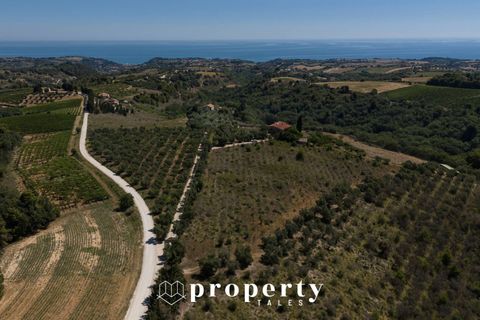 Landejendom i Ripatransone, Ascoli Piceno, Ripatransone - € 600.000 | Ref: 99 - foto 2