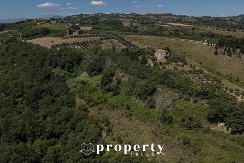 Landejendom i Ripatransone, Ascoli Piceno, Ripatransone - € 600.000 | Ref: 99 - foto 6