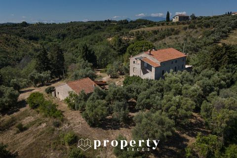 Landejendom i Ripatransone, Ascoli Piceno, Ripatransone - € 600.000 | Ref: 99 - foto 8
