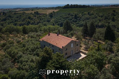 Landejendom i Ripatransone, Ascoli Piceno, Ripatransone - € 600.000 | Ref: 99 - foto 9