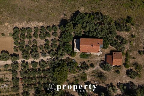Landejendom i Ripatransone, Ascoli Piceno, Ripatransone - € 600.000 | Ref: 99 - foto 12