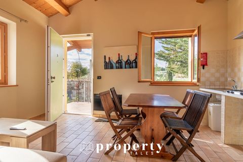 Villa a Ripatransone, Ascoli Piceno, Ripatransone - € 1.300.000 | Ref: 114 - foto 13