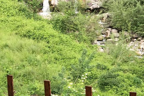 Villa i Zeri, Massa and Carrara, Zeri - € 65.000 | Ref: IMM18 - foto 33